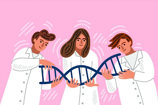 Illustration of scientists examining a DNA strand, representing geroscience research into ageing biology