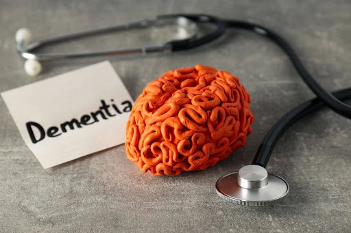 Brain sculpture labeled dementia next to a stethoscope, representing ageing biology's link to neurodegenerative disease