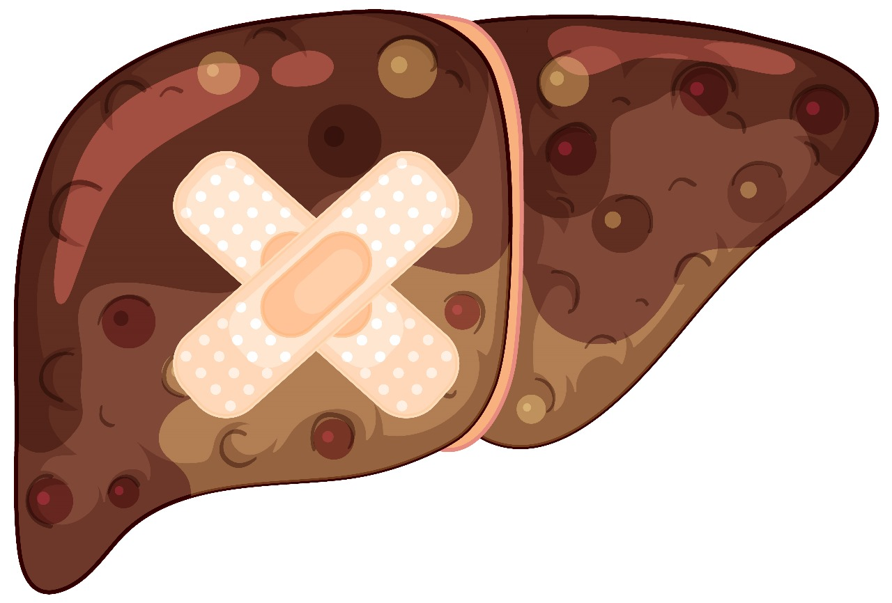 Boehringer Ingelheim joins forces with Ochre Bio to fight liver disease together