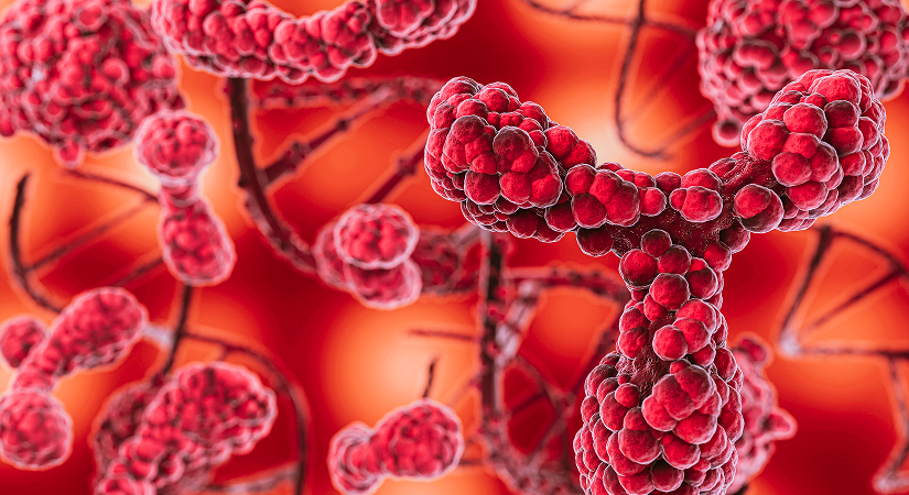 PROTACs and Molecular Glues: How Targeted Protein Degradation Is Redefining Drug Discovery