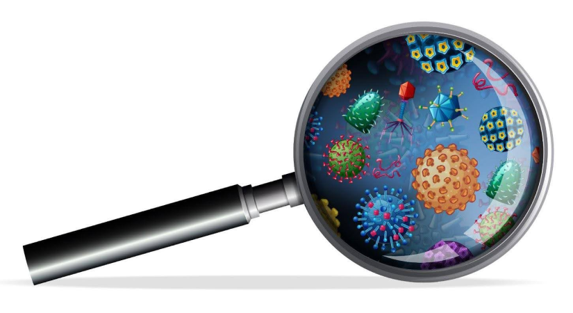 A SYSTEMATIC APPROACH TO BACTERIAL IDENTIFICATION