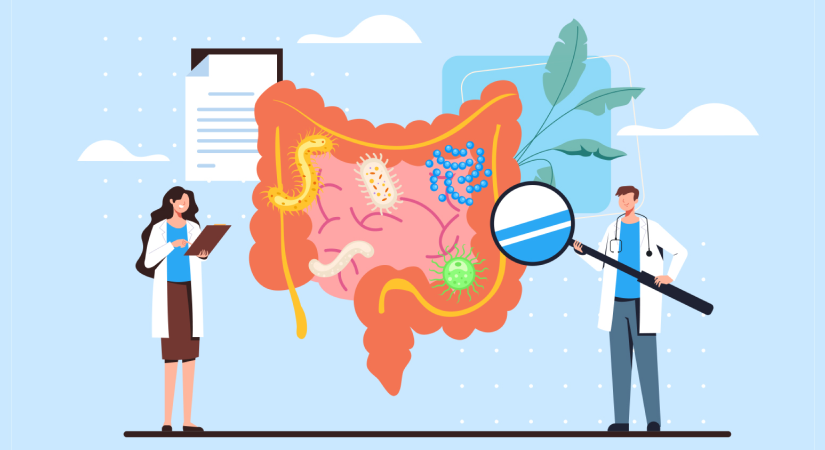 Senolytics and Microbiome Modifiers Two Quiet Levers Reshaping the Biology of Ageing