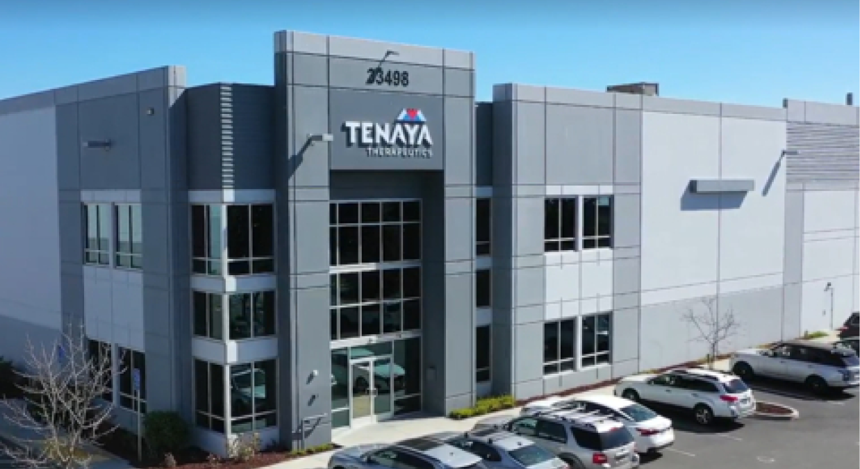 Tenaya Therapeutics Receives Positive Safety Reviews From Independent Data And Safety Monitoring Boards, Allowing TN-201 And TN-401 Gene Therapy Clinical Trials To Advance As Designed
