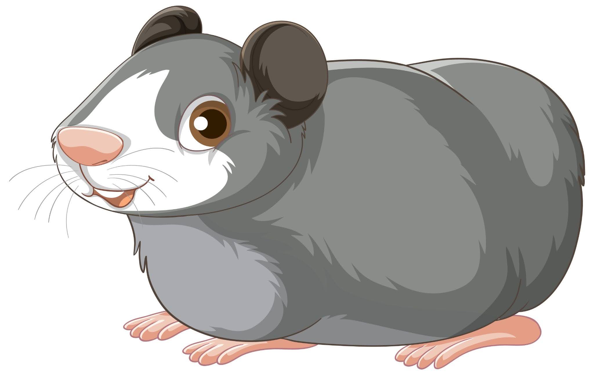 Gut-Skin Axis Antibiotics — Murine Model Reference Rodent used in murine studies on gut-skin axis antibiotics research