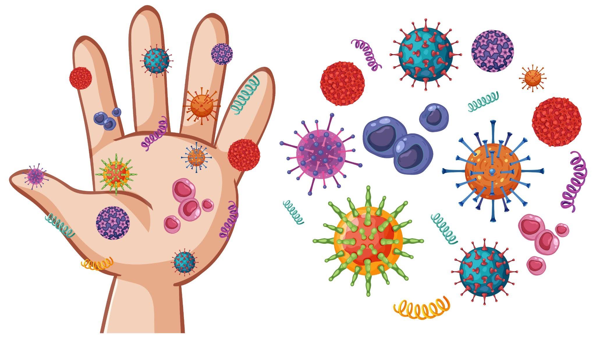 Hand Microbiome and Hospital Pathogen Transmission Illustration of diverse microbial pathogens colonizing a human hand in a hospital setting