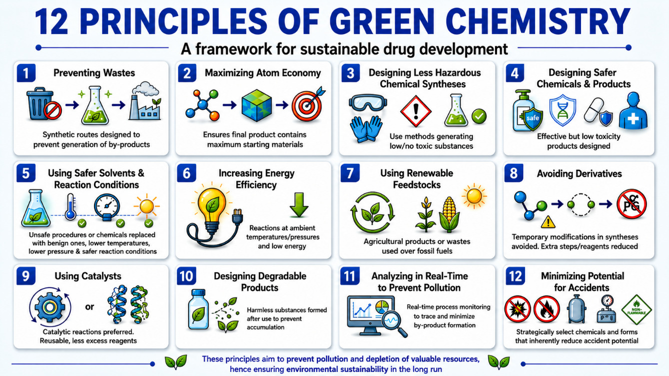 Framework showing the 12 principles of green chemistry for sustainable drug development.